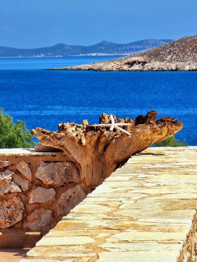 Villa Aristoteles Chalki Town Exterior foto