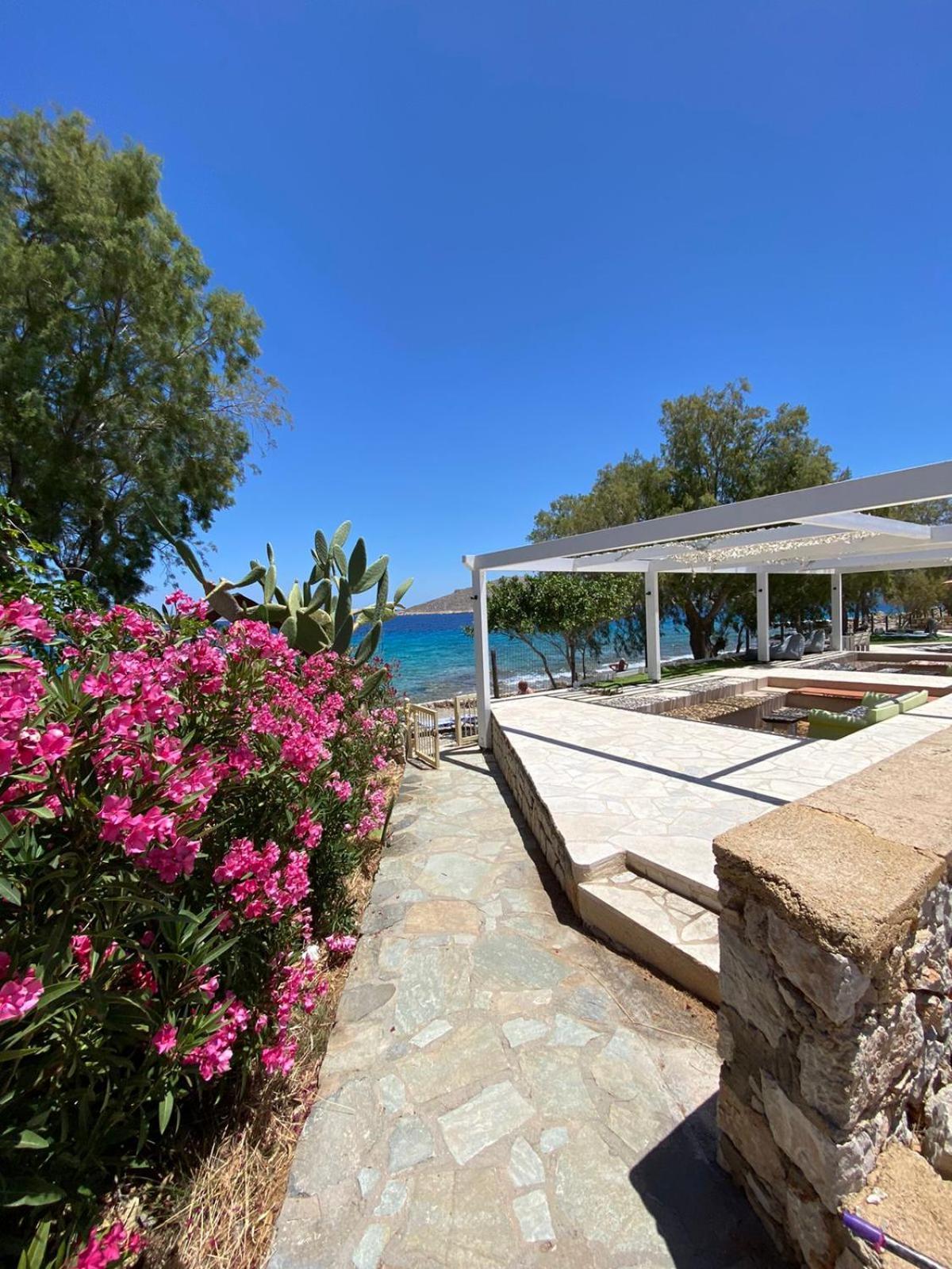 Villa Aristoteles Chalki Town Exterior foto